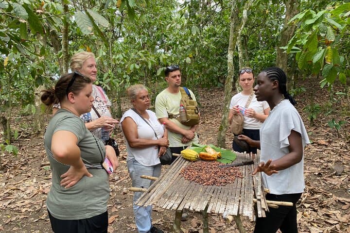Aburi Day Trip from Accra: Botanical Gardens, Historic Cocoa Farm & Oboadaka Waterfall photo 4