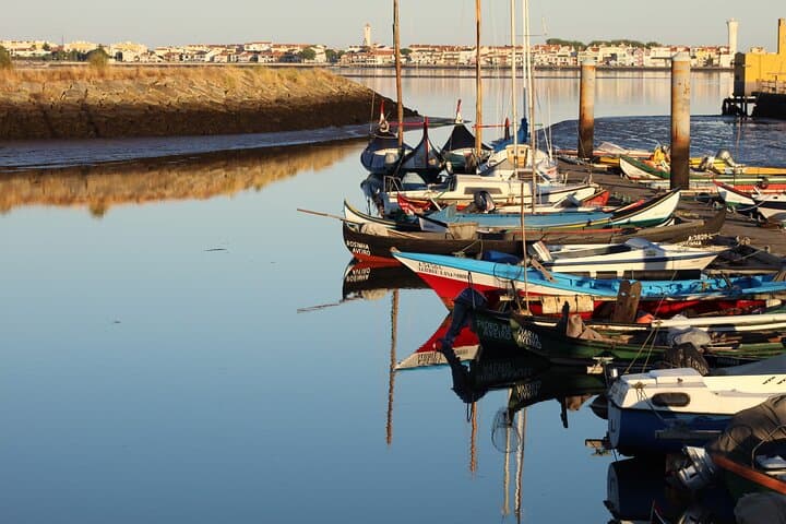 Ria de Aveiro Private Day Tour — Murtosa, Moliceiro Boats & Coastal Culture