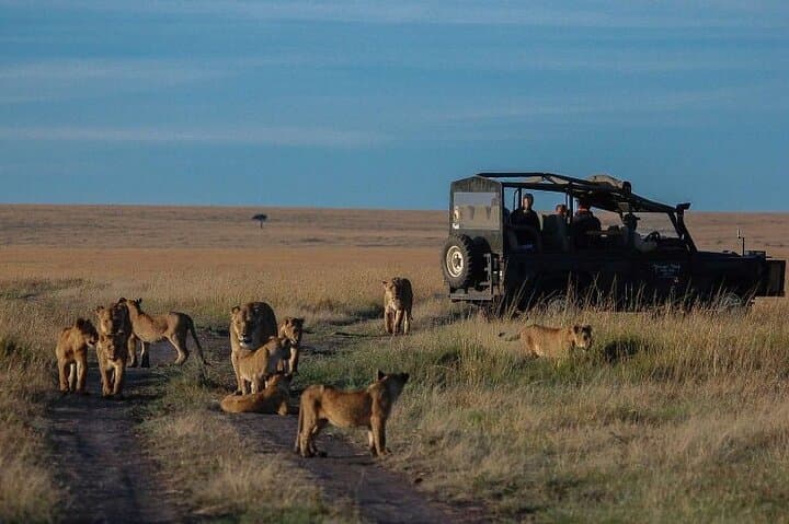 13-Day Great Migration, Gorilla & Masai Mara Wilderness Safari