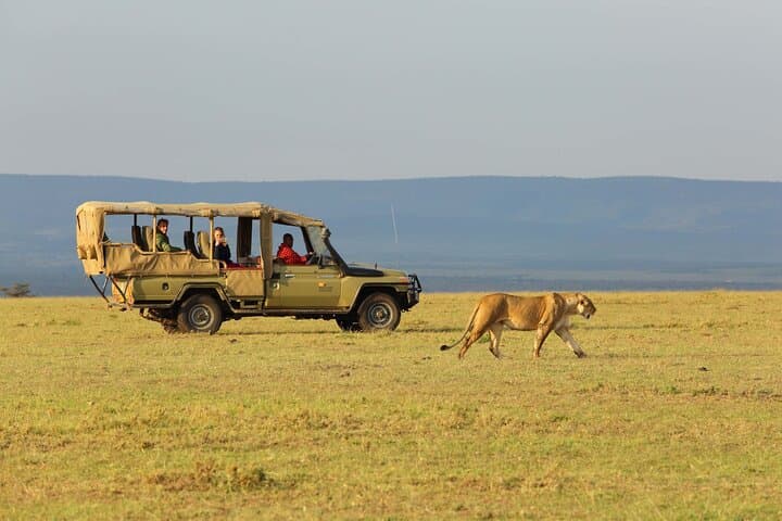 13-Day Great Migration, Gorilla & Masai Mara Wilderness Safari photo 3