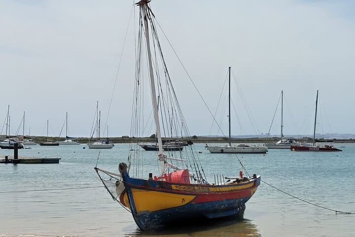 Alvor to Portimão E-Bike Coastal Sightseeing Tour photo 4