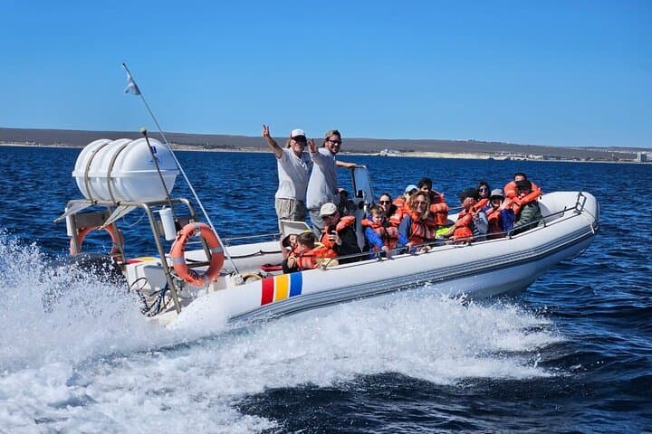 Lower Valley Chubut River Dolphins Boat Watching from Rawson photo 3