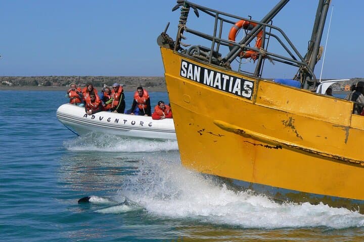 Lower Valley Chubut River Dolphins Boat Watching from Rawson photo 6