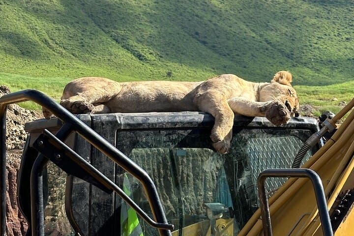 4-Day Tarangire, Serengeti & Ngorongoro Safari — Big Five & Migration Highlights photo 1