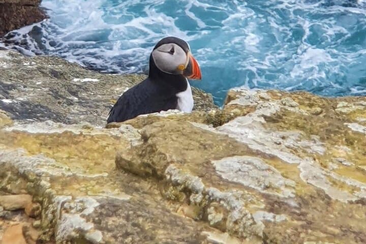 Scapa Tours: Private Orkney Neolithic & Coastal Sightseeing Tour photo 2