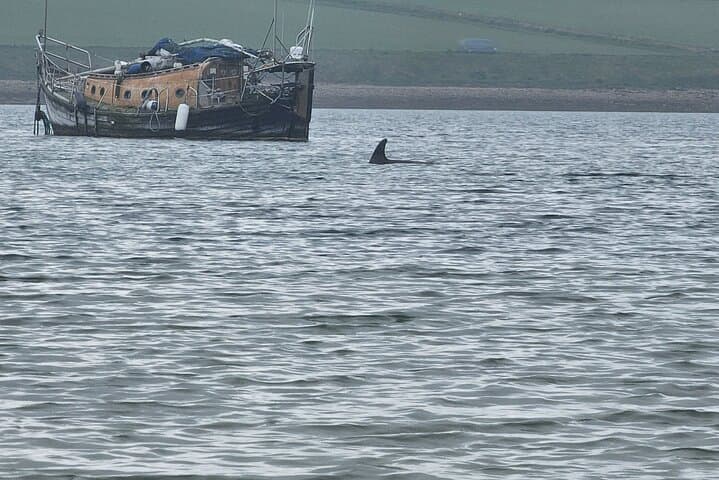 Scapa Tours: Private Orkney Neolithic & Coastal Sightseeing Tour photo 3