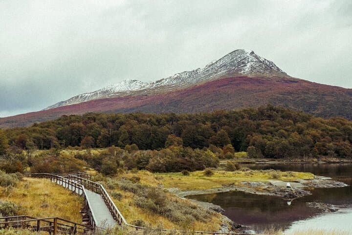 Tierra del Fuego National Park Day Trip from Ushuaia: Hiking, Lakes & The Train of the End of the World