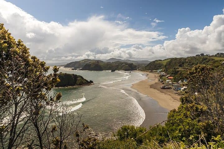 Puñuhuil Penguin Islands: Full-Day Wildlife Tour from Puerto Varas photo 2