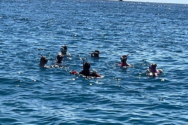 Private 3.5-Hour Waikiki Snorkel Charter to Turtle Canyon & Reefs photo 2