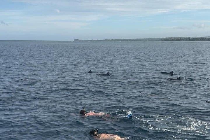 La Gaulette Dolphin Watching & Snorkeling — Private Early-Morning Boat for Two photo 2
