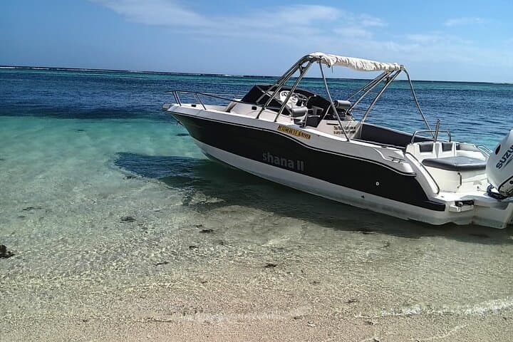 Dolphin Quest & Snorkel to Crystal Rock — Shared Boat Tour from Le Morne photo 6