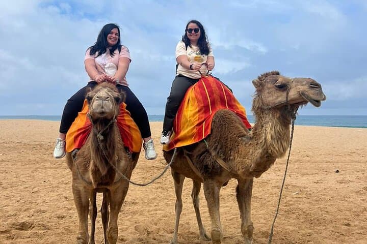 Tangier in a Day: Private Tour from Málaga or Tarifa Across the Strait photo 2