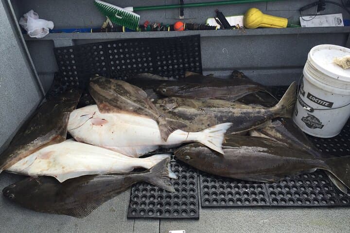 Exploring Icy Strait: Fishing and Whale Watching Adventures near Hoonah, Alaska photo 3