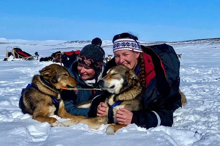 Private Dogsledding and Husky-Lodge Overnight near Tromsø — Arctic Night Adventure photo 2