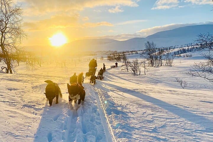 Private Dogsledding and Husky-Lodge Overnight near Tromsø — Arctic Night Adventure