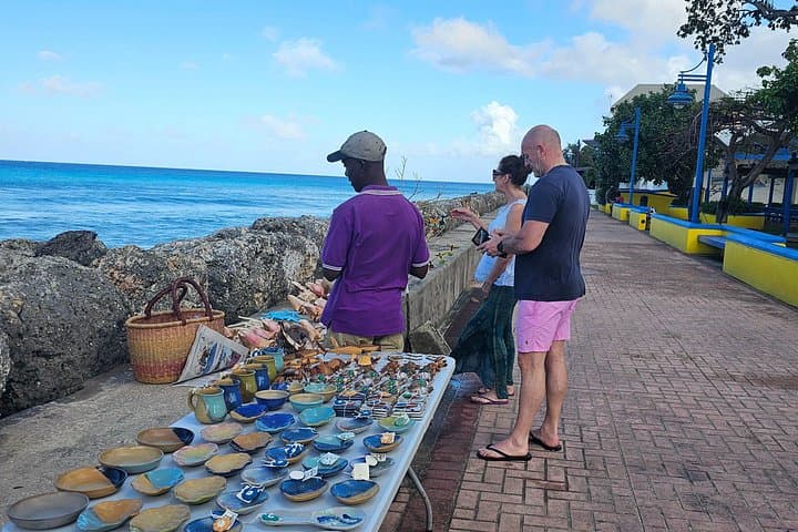 Barbados Private Guided Scenic Tour: Top Sights from Bridgetown to Bathsheba photo 5