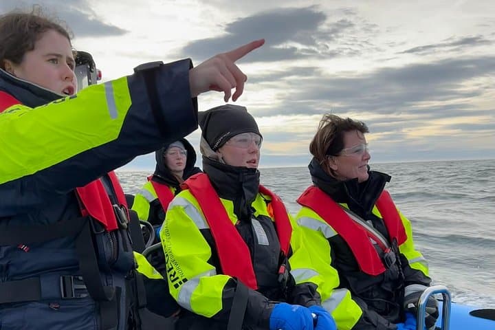 Private RIB Whale-Watching Adventure from Reykjavik — Fast, Close Encounters photo 5
