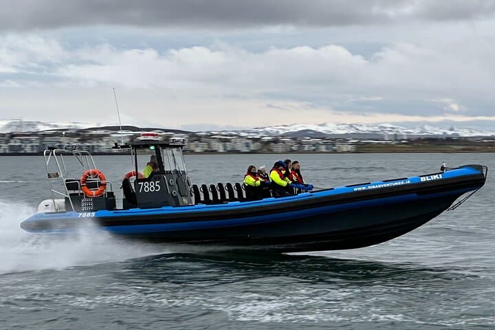 Private RIB Whale-Watching Adventure from Reykjavik — Fast, Close Encounters photo 4