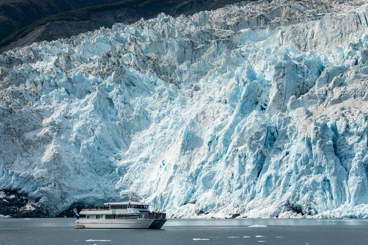 Captain's Choice Kenai Fjords Cruise from Seward: 7‑Hour Glacier & Wildlife Tour photo 2