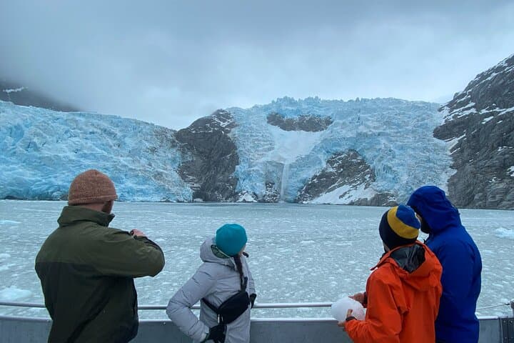 Northwestern Fjord Glacier & Wildlife Cruise from Seward — Full-Day Kenai Fjords Adventure