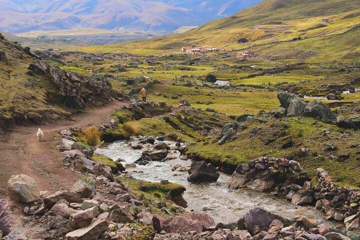 Seven Turquoise Lagoons Around Ausangate: Full-Day Private Tour from Cusco photo 3
