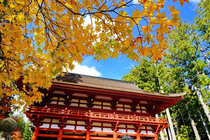 Day Trip to Koyasan: Exploring Sacred Sites from Kyoto photo 4