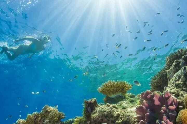 Private Snorkeling in Montego Bay: Marine Park Reef Adventure photo 3