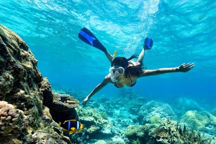 Private Snorkeling in Montego Bay: Marine Park Reef Adventure photo 6