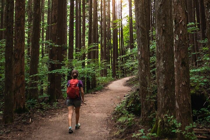 Magome to Tsumago Hike: Nakasendo Day Trip from Nagoya photo 1
