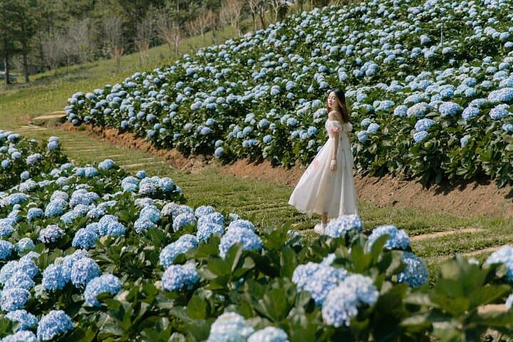 Da Lat Full-Day Highlights: Puppy Farm, Florest & Garden of Eden (2025) photo 3