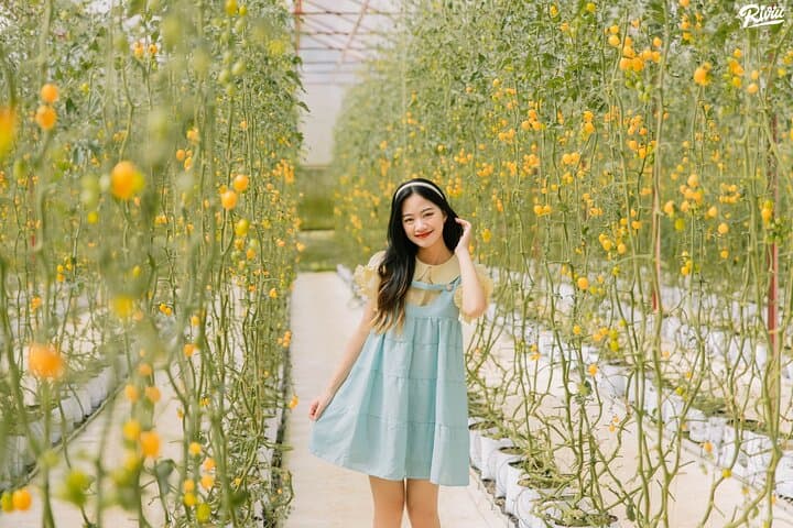 Da Lat Full-Day Highlights: Puppy Farm, Florest & Garden of Eden (2025) photo 6