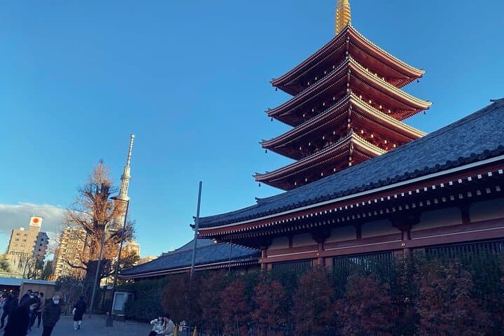 Custom Tokyo Private One-Day Tour with Local Driver — Flexible City Highlights