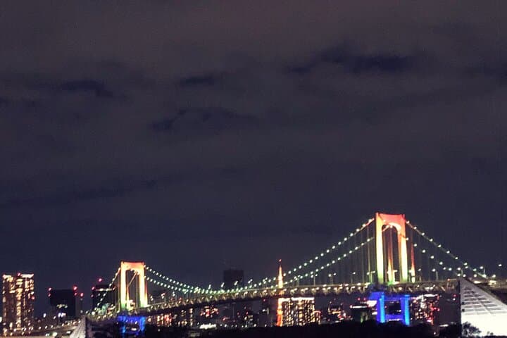 Custom Tokyo Private One-Day Tour with Local Driver — Flexible City Highlights photo 6