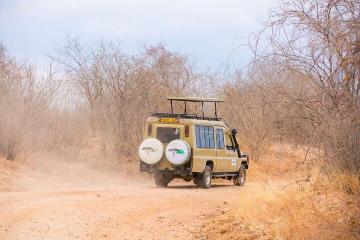 2-Day Private Mikumi Safari from Zanzibar with Overnight Accommodation photo 5