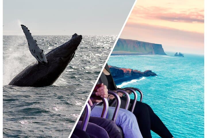 Whale Watching and FlyOver Iceland: Reykjavík’s Coastal Adventure