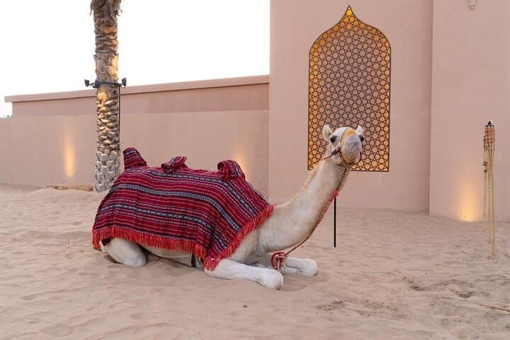 Evening Desert Safari Dubai: Dune Bashing & BBQ Dinner at Sunset photo 4