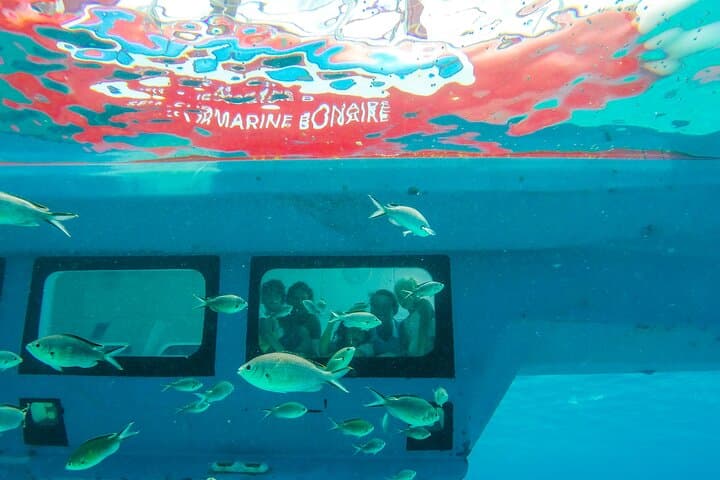 Korcula Semi-Submarine Tour: Underwater Observatory & Old Town Views photo 2