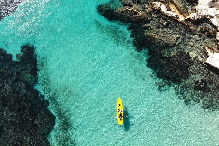 Golfo Aranci Kayak Tour: Dolphins, Figarolo & Aperitif