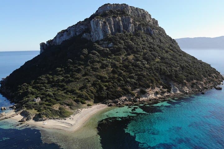 Golfo Aranci Kayak Tour: Dolphins, Figarolo & Aperitif photo 6
