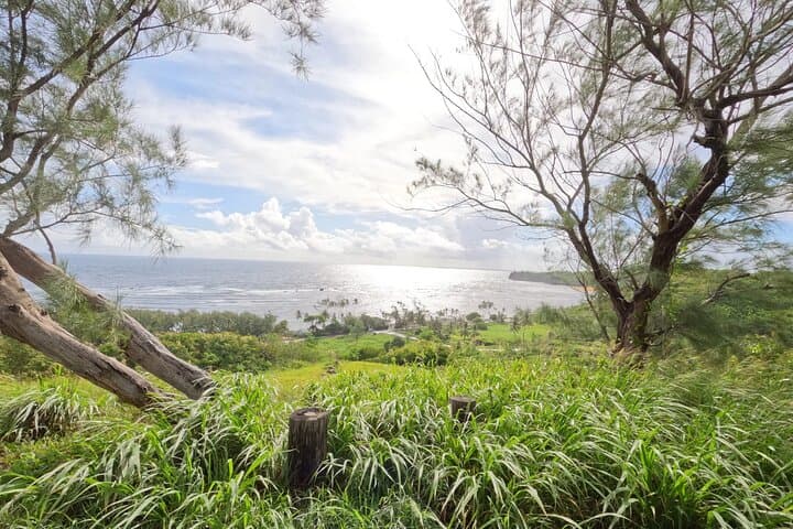 Southeast Barbados E‑Bike Tour — Ride the St. John & St. Philip Coastline photo 4