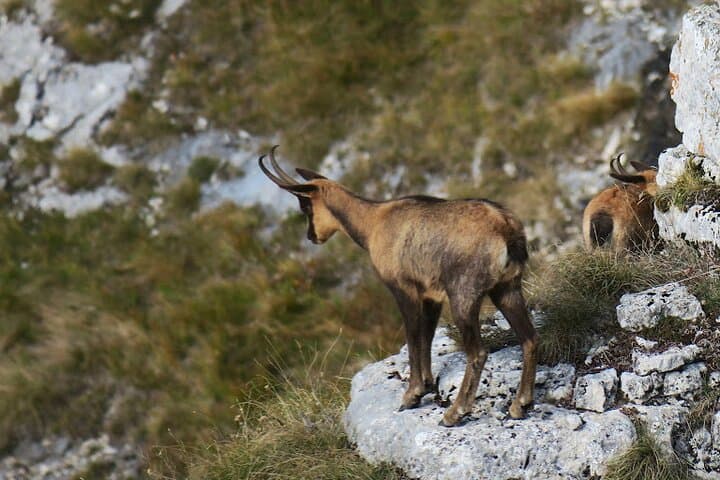 Private Trekking to Mount Sibilla and the Infernaccio Gorges — Sibillini National Park photo 2
