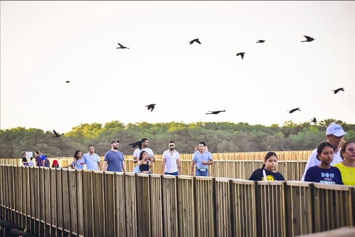 Mallorquin Eco-Park Guided Walking Tour in Barranquilla