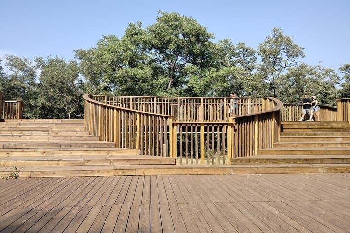 Mallorquin Eco-Park Guided Walking Tour in Barranquilla photo 2