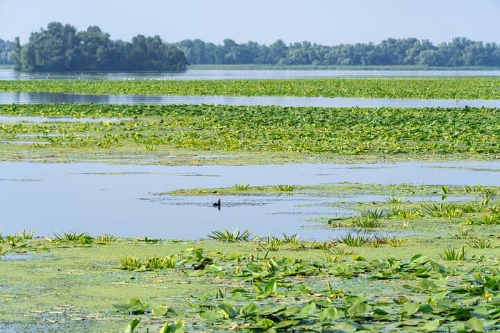 Mallorquin Eco-Park Guided Walking Tour in Barranquilla photo 3