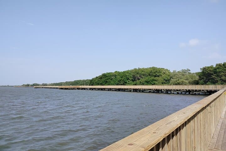 Mallorquin Eco-Park Guided Walking Tour in Barranquilla photo 5