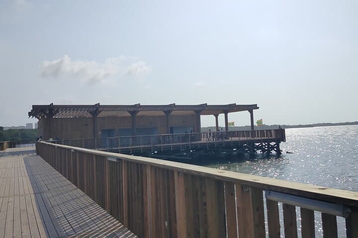 Mallorquin Eco-Park Guided Walking Tour in Barranquilla photo 6