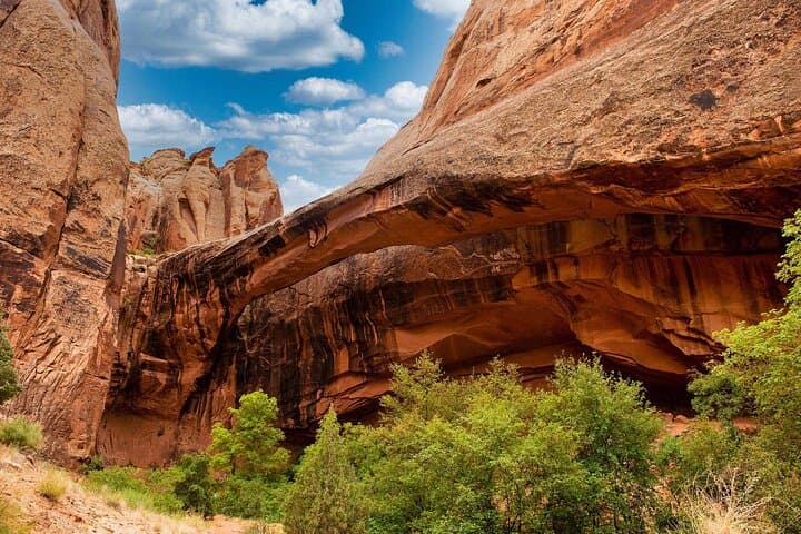 Rappel Morning Glory Arch: Moab Canyoneering to the Medieval Chamber photo 6