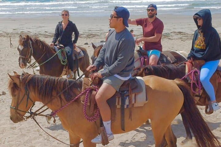 Horseback Riding and La Bufadora: Exploring Ensenada’s Coastal Thrills and Tranquility photo 2