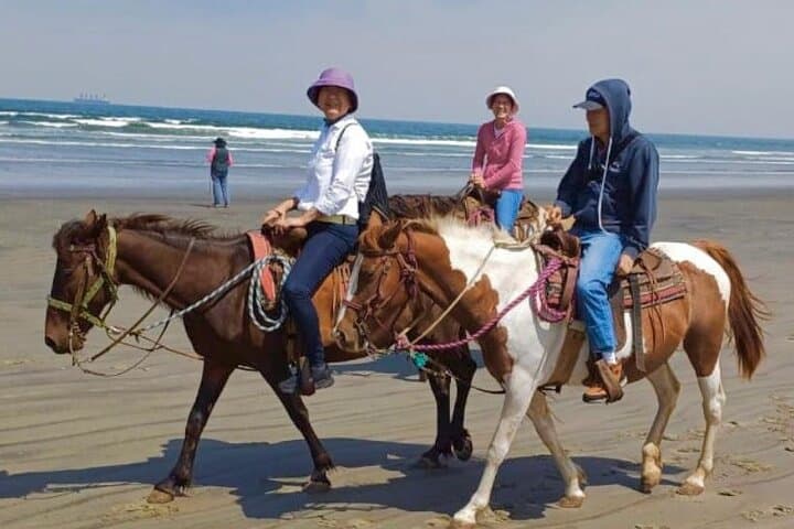 Horseback Riding and La Bufadora: Exploring Ensenada’s Coastal Thrills and Tranquility photo 5