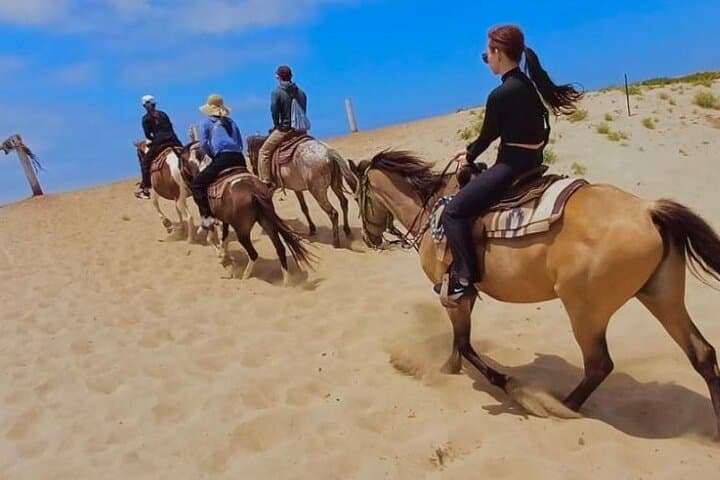 Horseback Riding and La Bufadora: Exploring Ensenada’s Coastal Thrills and Tranquility photo 6